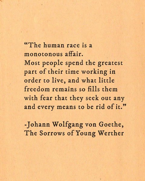 Thumbnail of p-cv7egzzmdsh-b8751f0ac3f34a6e 3