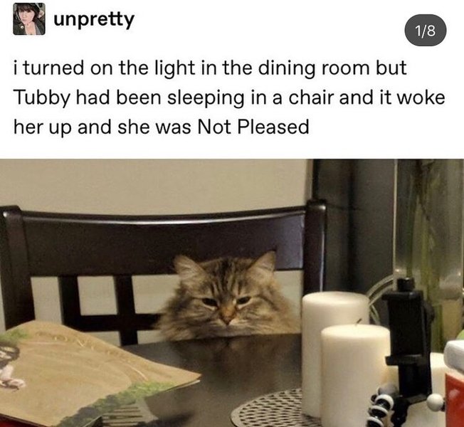 Thumbnail of p-b0wdps4hmfo-b888950f0ab04262 0