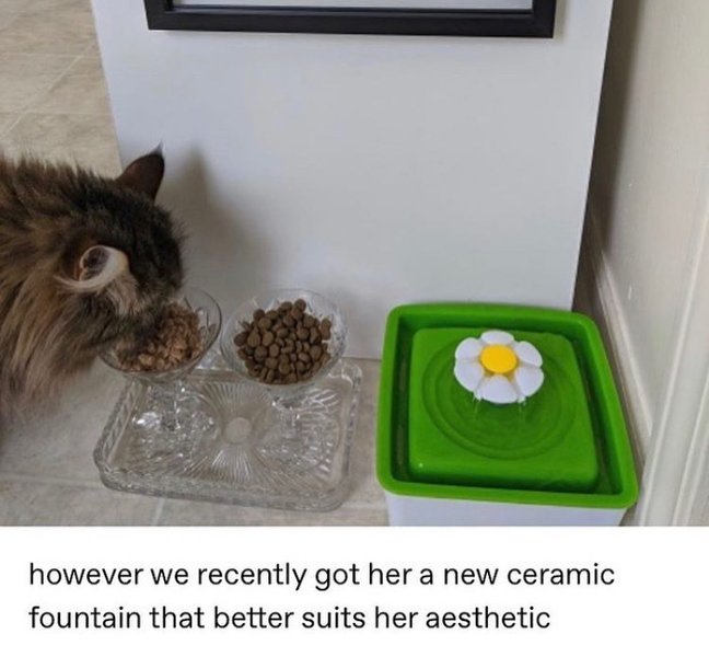 Thumbnail of p-b0wdps4hmfo-b888950f0ab04262 2