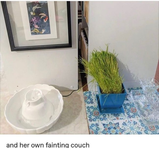 Thumbnail of p-b0wdps4hmfo-b888950f0ab04262 3