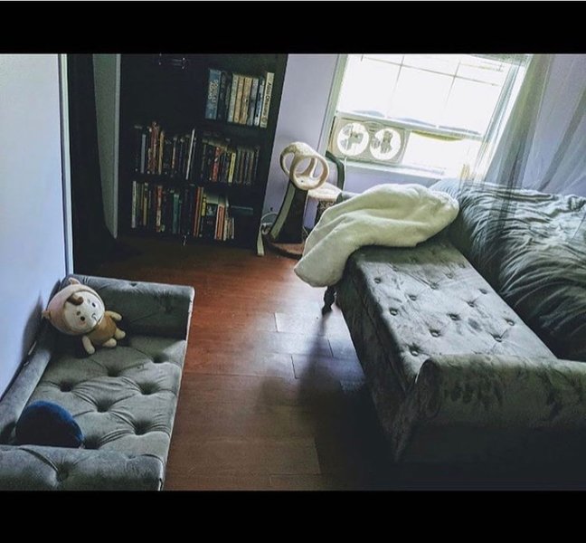 Thumbnail of p-b0wdps4hmfo-b888950f0ab04262 4