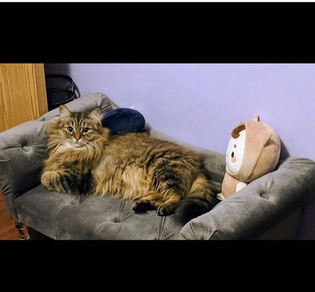 Thumbnail of p-b0wdps4hmfo-b888950f0ab04262 5