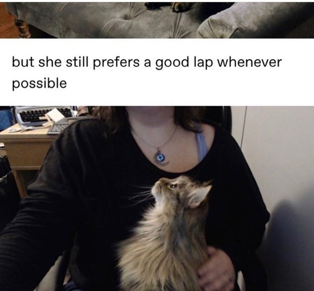 Thumbnail of p-b0wdps4hmfo-b888950f0ab04262 6