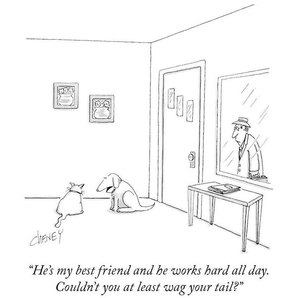 Thumbnail of p-cgh92zdbymf-b88b5e6aa8dd4b33 0