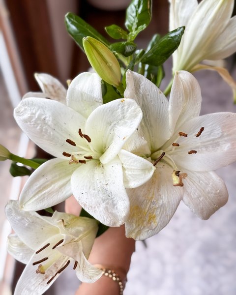 Thumbnail of p-djpuxhzjdvg-b89bd10e14c7472c 1