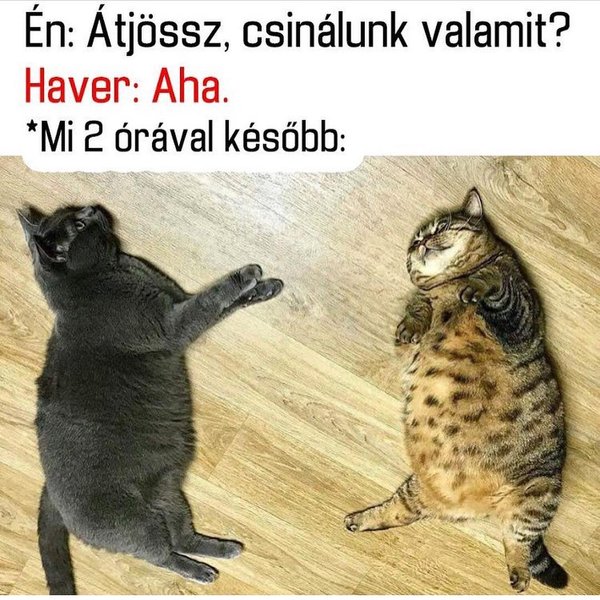 Thumbnail of bpj-irsl7af-b8af57bf83e84102 0