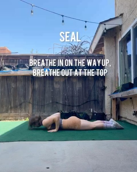 Thumbnail of p-cerak0zpwmb-b8b017c11c764a6b 2