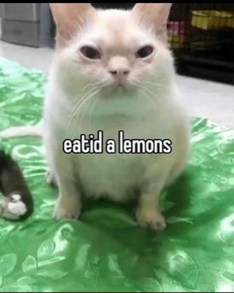 Thumbnail of p-cerak0zpwmb-b8b017c11c764a6b 9