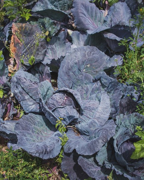 Thumbnail of rr-o-b8c99d3c42604c9f 1