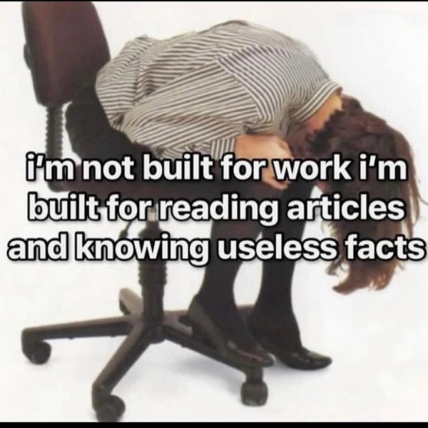 Thumbnail of p-dguvdvyzg0q-b8ca9cbe761f476d 11