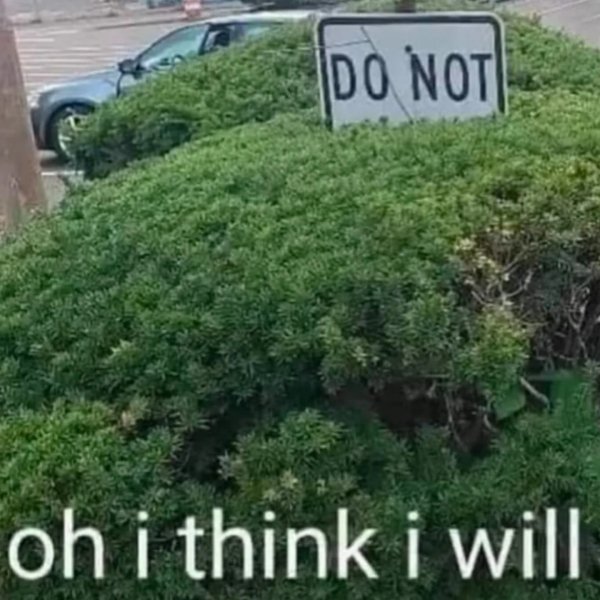 Thumbnail of p-dguvdvyzg0q-b8ca9cbe761f476d 16