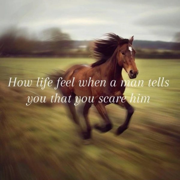 Thumbnail of p-dguvdvyzg0q-b8ca9cbe761f476d 9