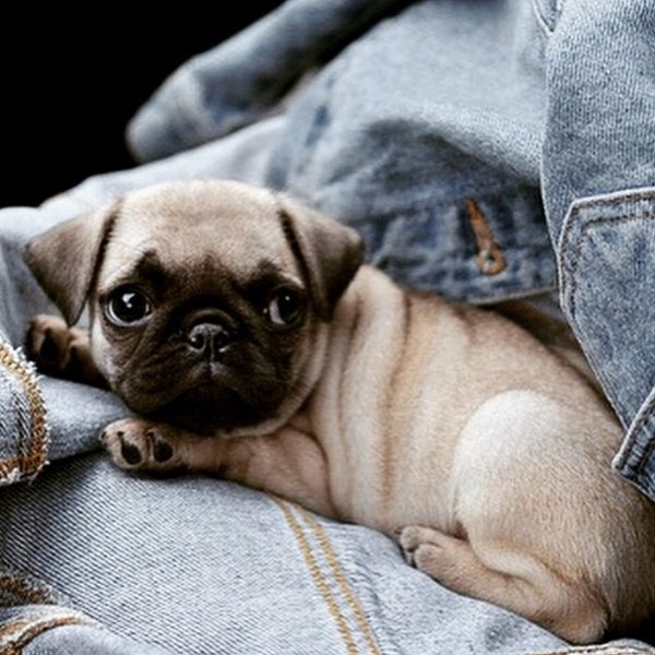 Thumbnail of p-bsmpoecfhml-b8cad102caa34738 0