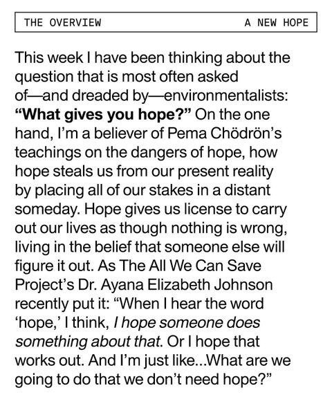 Thumbnail of p-cshizxiarpn-b8e68f1d8d284312 4