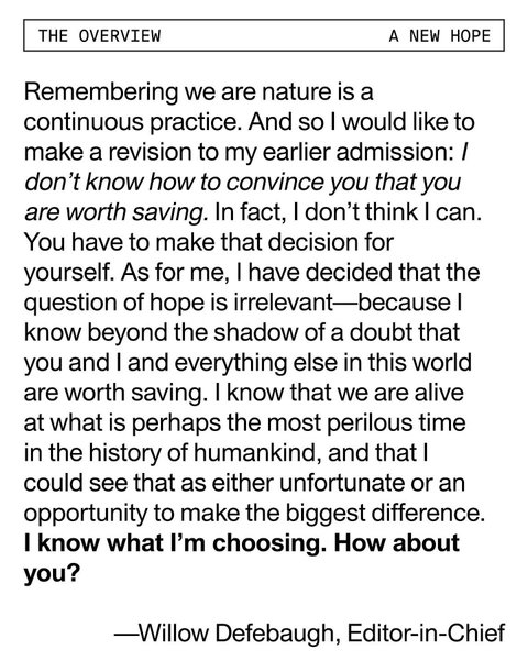 Thumbnail of p-cshizxiarpn-b8e68f1d8d284312 8