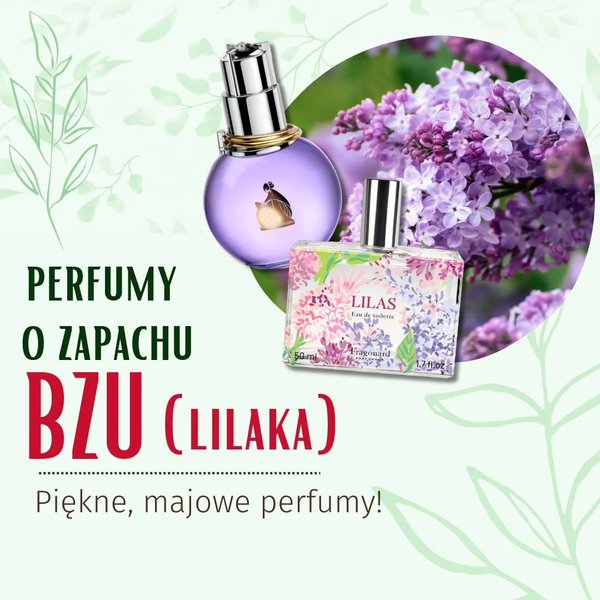 Thumbnail of c6yoy3no-4p-b90afedb2ed742a5 0