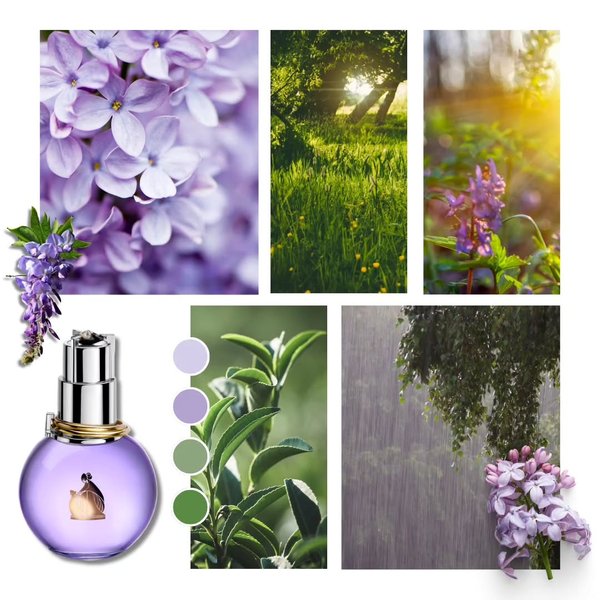 Thumbnail of c6yoy3no-4p-b90afedb2ed742a5 1