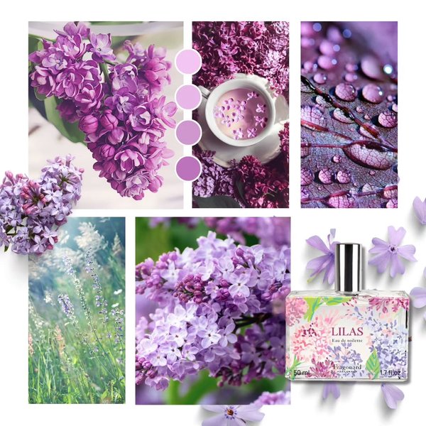 Thumbnail of c6yoy3no-4p-b90afedb2ed742a5 3