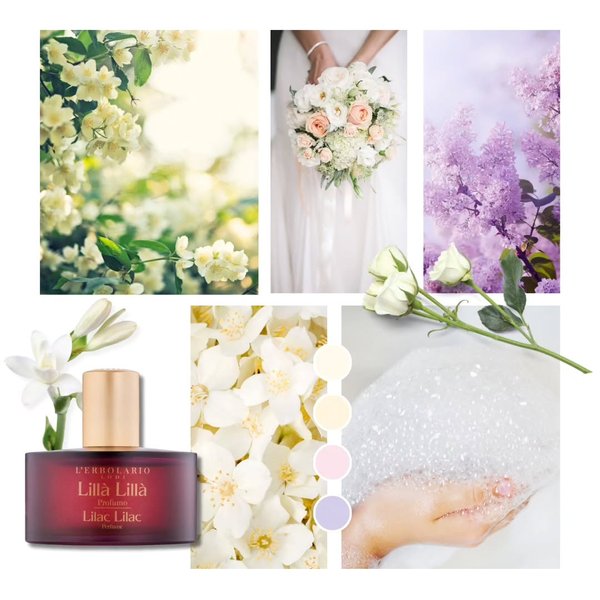 Thumbnail of c6yoy3no-4p-b90afedb2ed742a5 5