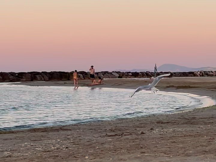 Thumbnail of p-cvifk5drerm-b95b1de0ee7c48de 5