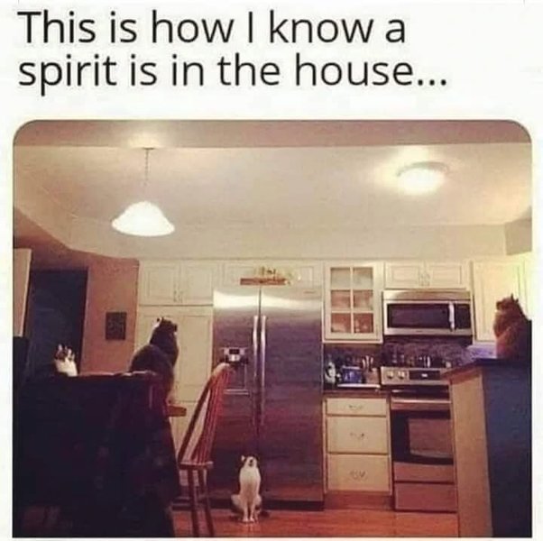 Thumbnail of p-cadauioumgt-b96eb8f610e7454e 0