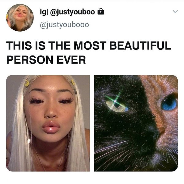 Thumbnail of p-b7rn6sqchzk-b97907abc6d54ec0 0