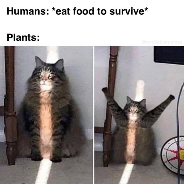 Thumbnail of p-cads7pgf3yq-b983e85a7b934b98 0