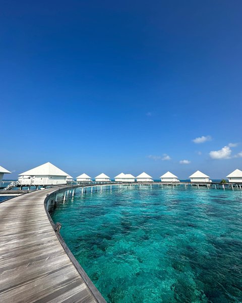 Thumbnail of p-cqirkohptpk-b99b3cdf535447a1 2