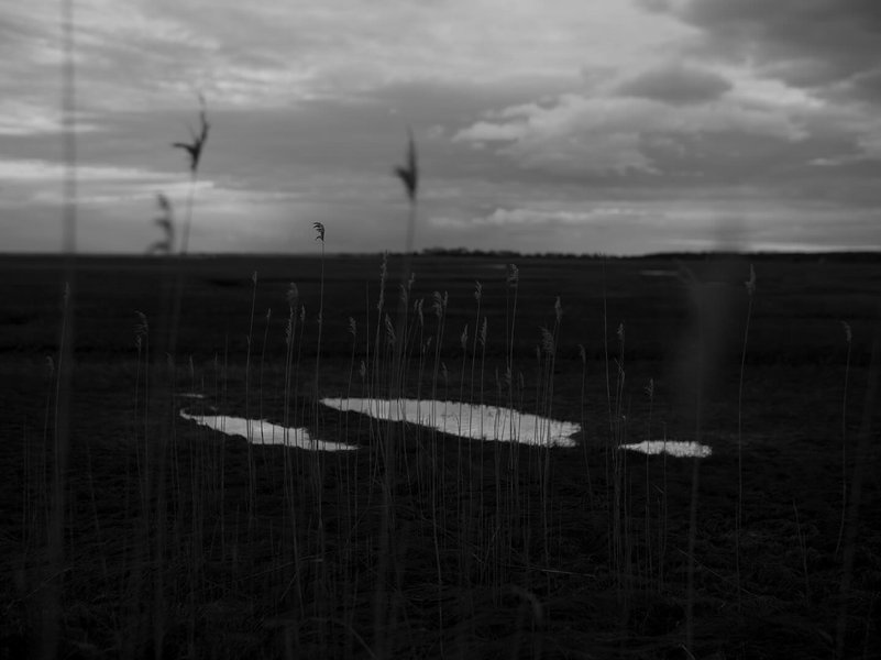 Thumbnail of p-dd40ks1rtxl-b99c04ccbbe0473d 1