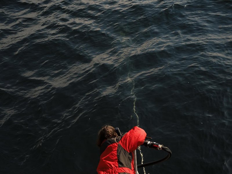 Thumbnail of p-dd40ks1rtxl-b99c04ccbbe0473d 3