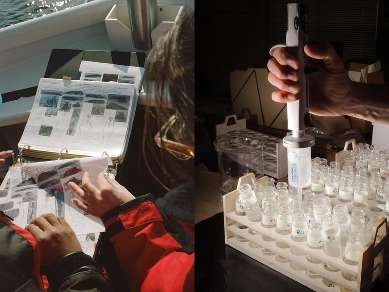 Thumbnail of p-dd40ks1rtxl-b99c04ccbbe0473d 4