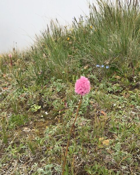 Thumbnail of p-cgzbwosmgad-b99d64140a6d441b 2