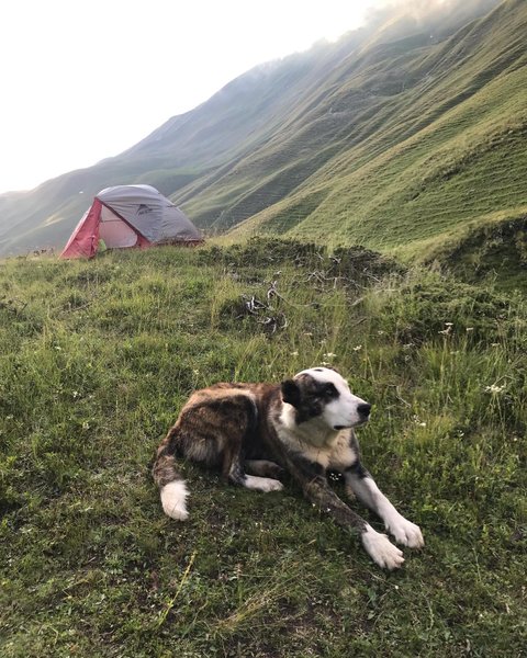 Thumbnail of p-cgzbwosmgad-b99d64140a6d441b 4