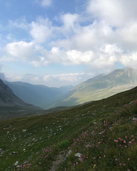 Thumbnail of p-cgzbwosmgad-b99d64140a6d441b 9