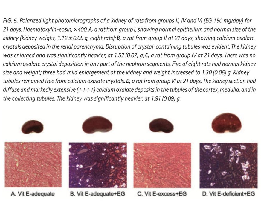 Thumbnail of www-x-com-lowmegatron-status-1960415831843647679-b9b837a1f1ad4bf1