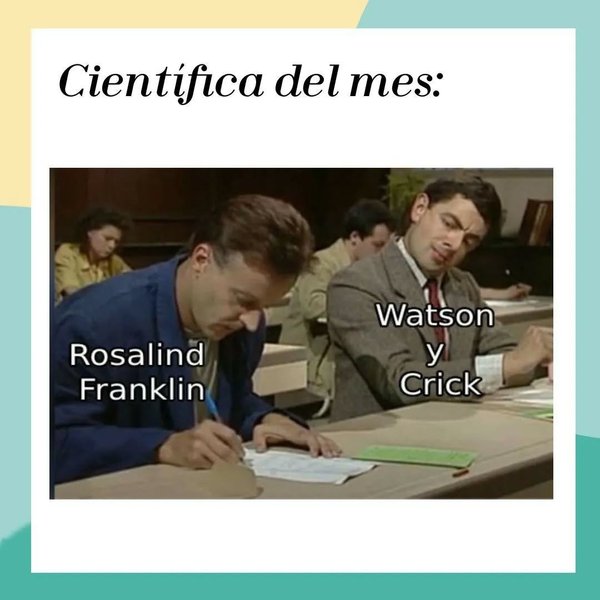 Thumbnail of czfy-mloxqd-b9c2ae9ec0e64afd 0