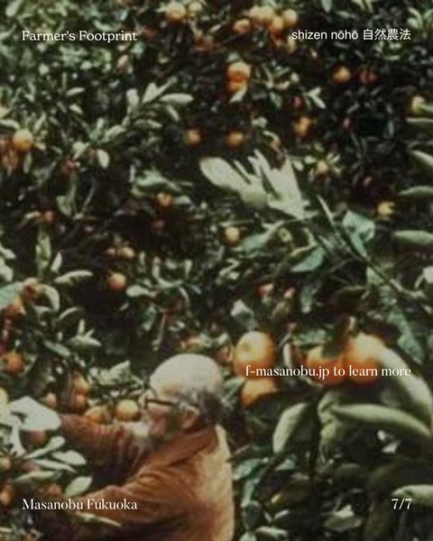 Thumbnail of p-csttgwmqzxc-b9e71d099b904995 6