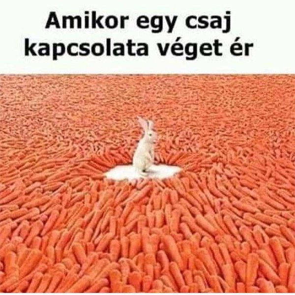 Thumbnail of bo-yonvlgau-b9f7f309f52a4281 1