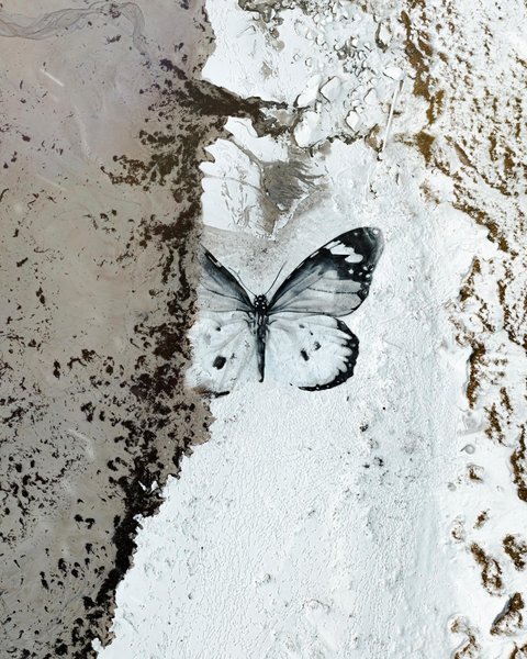 Thumbnail of p-cvfb4otttkq-ba02c1d257aa4040 0