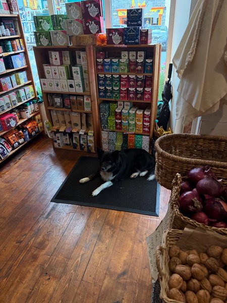 Thumbnail of dn-tivjdqoq-ba4c89c2267f4059 4