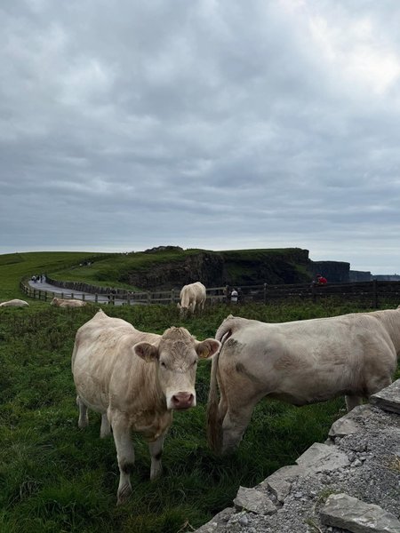 Thumbnail of dn-tivjdqoq-ba4c89c2267f4059 8