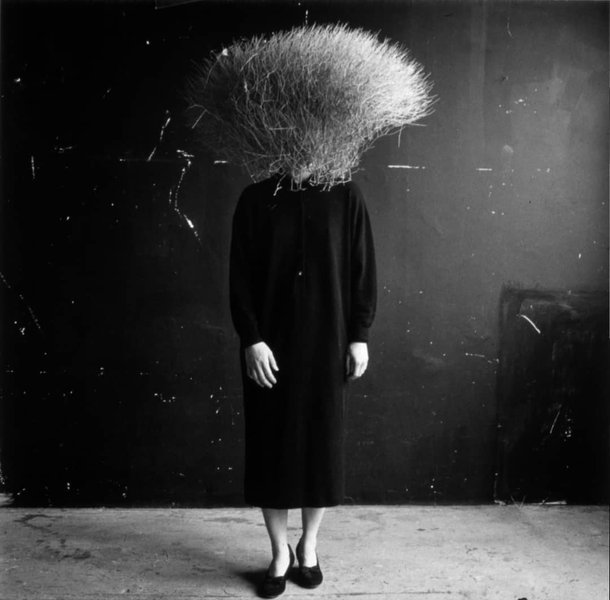 Thumbnail of p-bzupjmhlguf-bac2d6d52c534f53 0