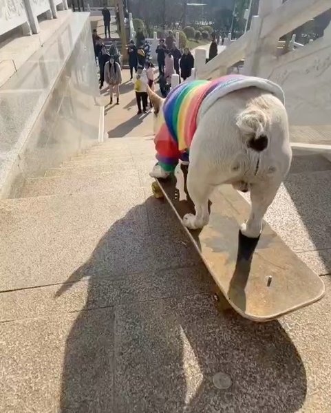 Thumbnail of p-cou7bzzpik5-bac88475422f41a3 3