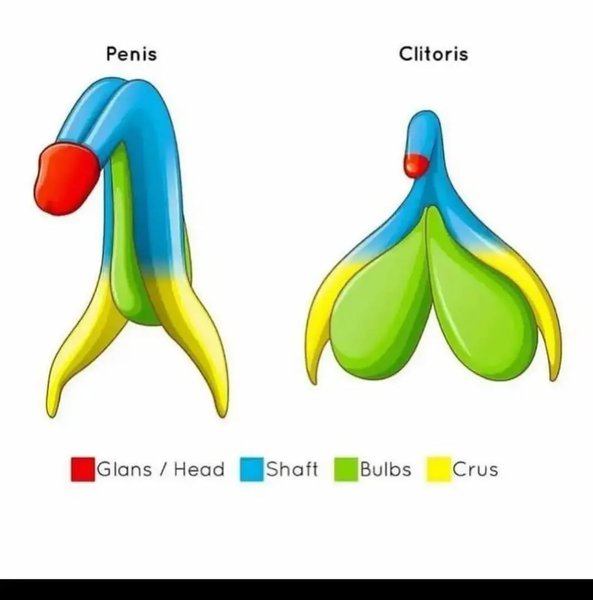 Thumbnail of p-c14opftotgu-badcbb14d7a84a51 0