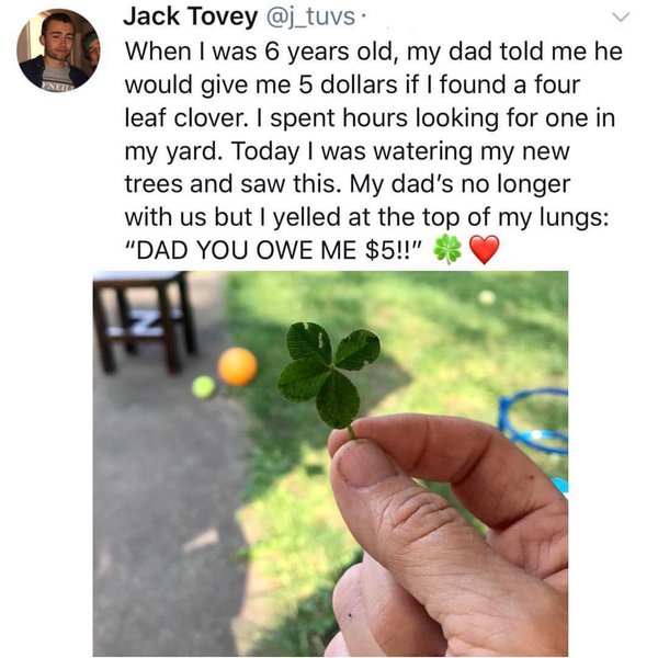 Thumbnail of p-bo2qkm9frk-bafbc8e28c484247 0