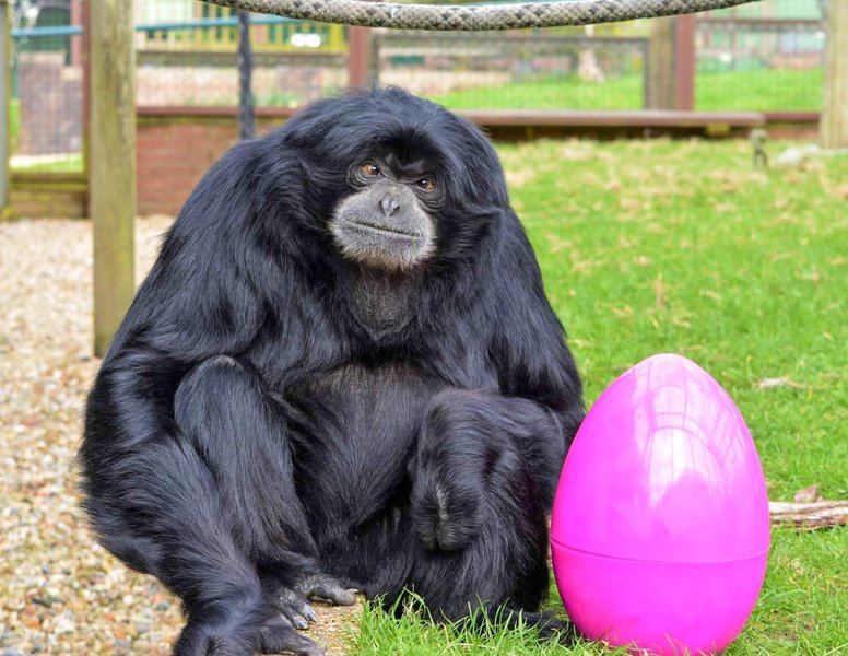 Thumbnail of p-cca1idbt1om-bb1bde28eae346ee 0