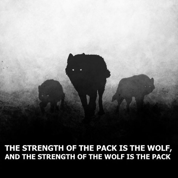 Thumbnail of p-cdx3rtyhg4y-bb25b3a099e94f5b 0