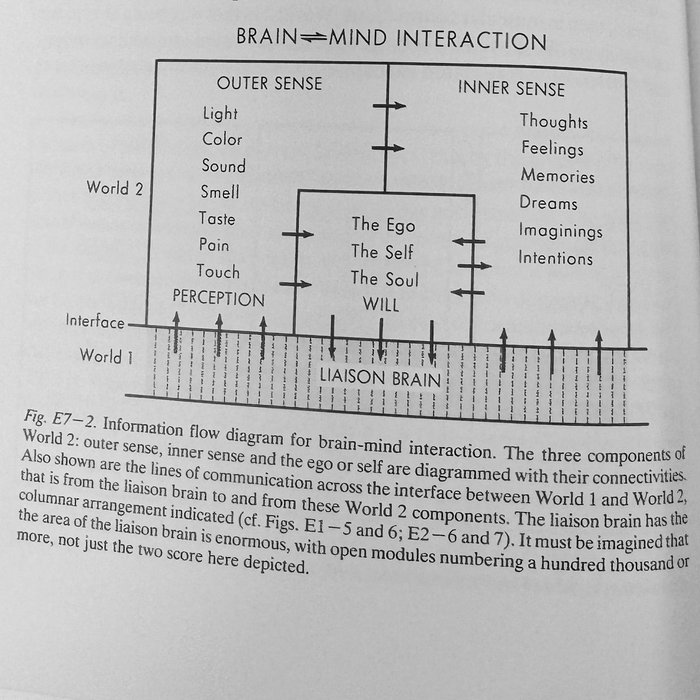 Thumbnail of www-x-com-nicoleshsing-status-1845864219335618681-bb2a642764c84741