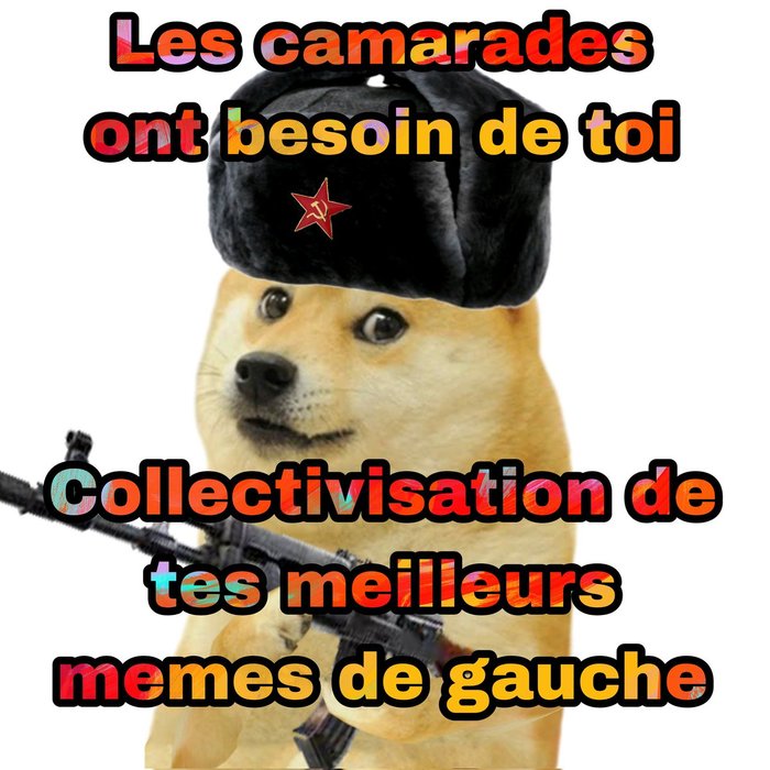 Thumbnail of www-x-com-meme-gauche-status-1905912357424926932-bb2cdc93424a4e84
