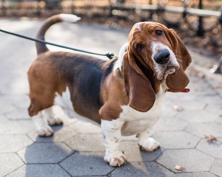 Thumbnail of cag2rg-nbk8-bb7e1be80396455b 0